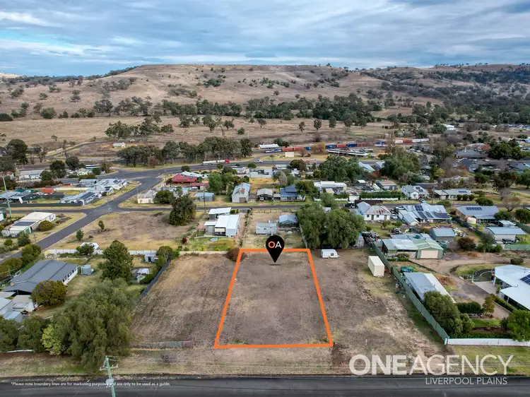 Main view of Homely land listing, 27 Hall Street, Willow Tree NSW 2339