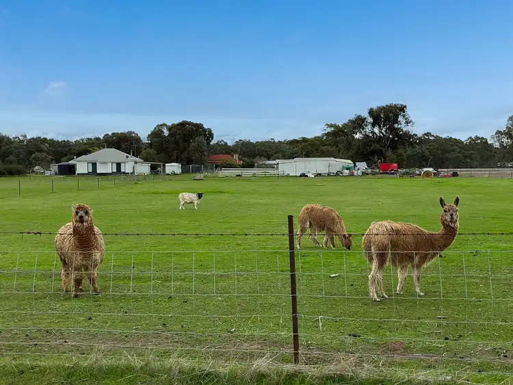 Third view of Homely rural property listing, 28 Harpers Lane, Wedderburn VIC 3518