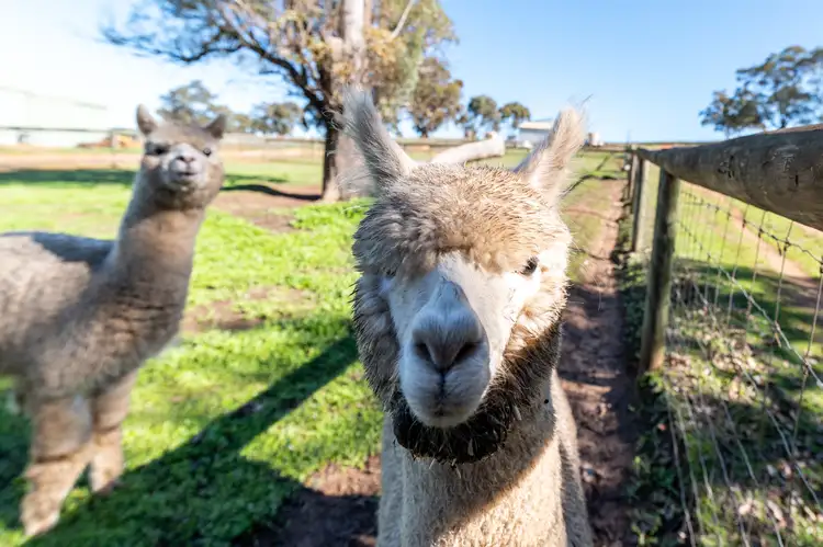 Main view of Homely rural property listing, 6056 Great Northern Highway, Bindoon WA 6502