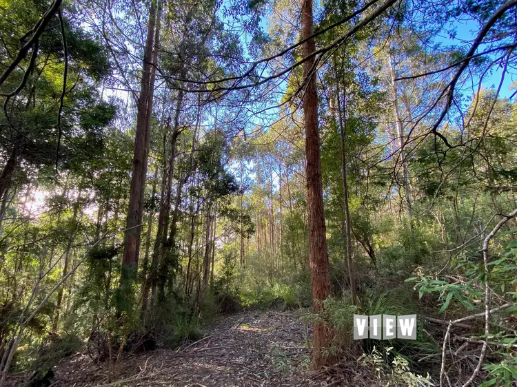 Main view of Homely land listing, PID 7558402 Mitchells Road, St Marys TAS 7215