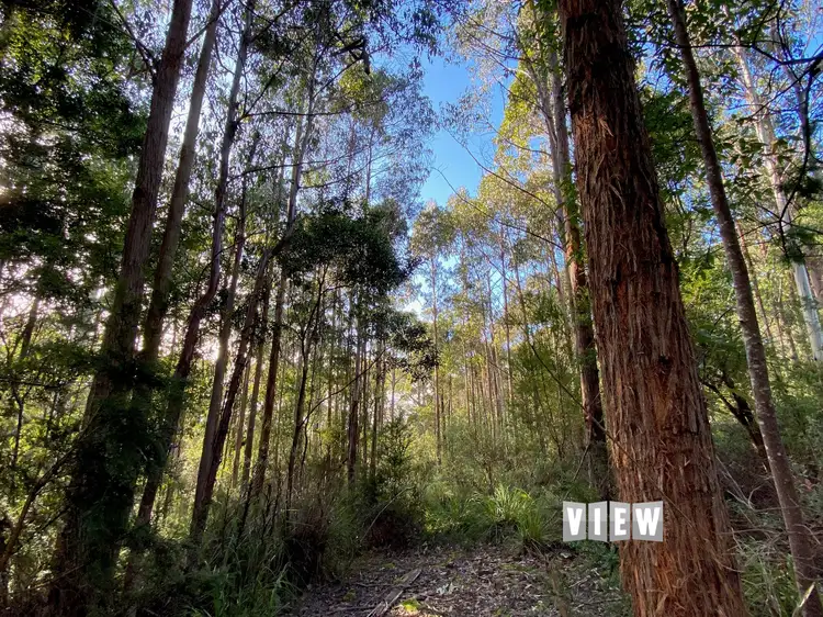 Sixth view of Homely land listing, PID 7558402 Mitchells Road, St Marys TAS 7215
