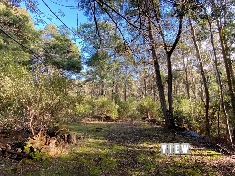 Seventh view of Homely land listing, PID 7558402 Mitchells Road, St Marys TAS 7215