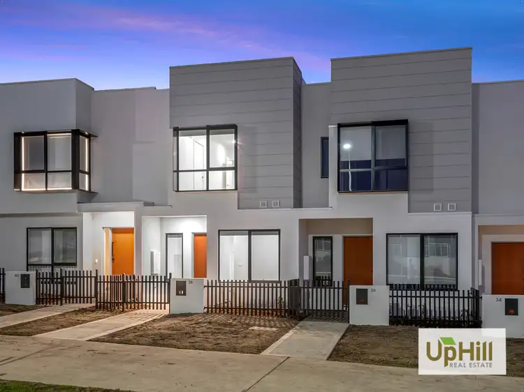 38 Carnival Boulevard