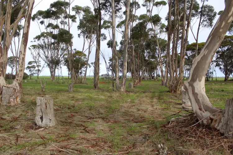 Fifth view of Homely land listing, Allotment 53A Yearinga Road, Lillimur VIC 3420