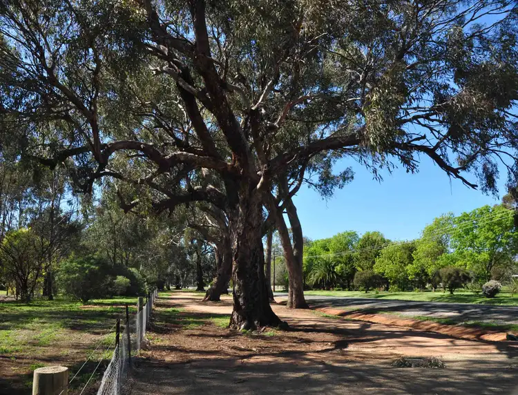 Sixth view of Homely land listing, LOT 8B Pyke Street, Bundalong VIC 3730