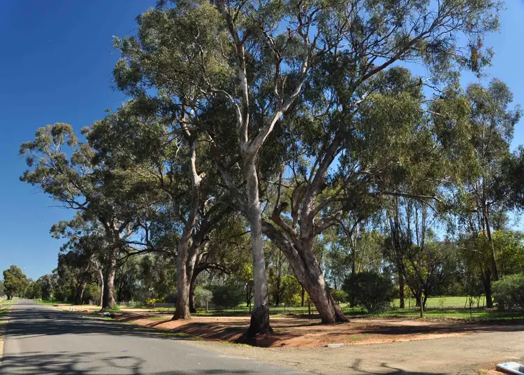 Seventh view of Homely land listing, LOT 8B Pyke Street, Bundalong VIC 3730