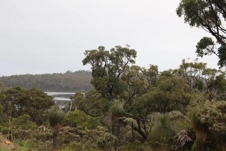 Fifth view of Homely land listing, 48 Karri Street, Walpole WA 6398