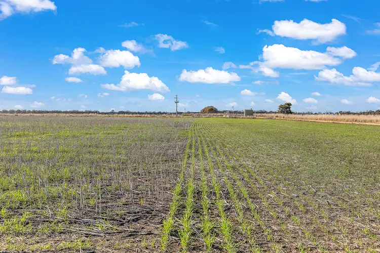 Fifth view of Homely rural property listing, 427 Darrigan Road, Corop VIC 3559