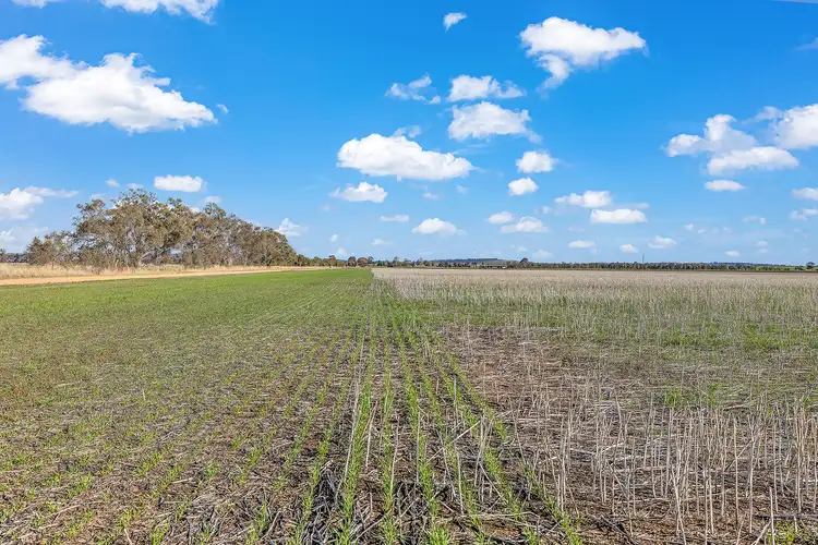 Sixth view of Homely rural property listing, 427 Darrigan Road, Corop VIC 3559