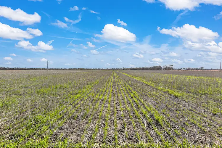 Seventh view of Homely rural property listing, 427 Darrigan Road, Corop VIC 3559