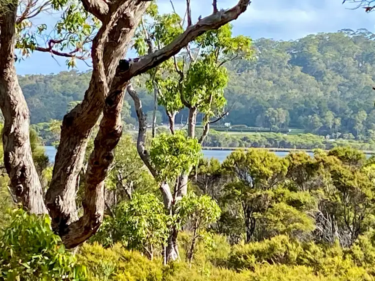 Main view of Homely land listing, 12 Howe Court, Walpole WA 6398