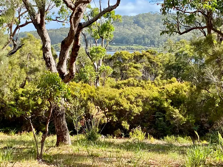 Fourth view of Homely land listing, 12 Howe Court, Walpole WA 6398