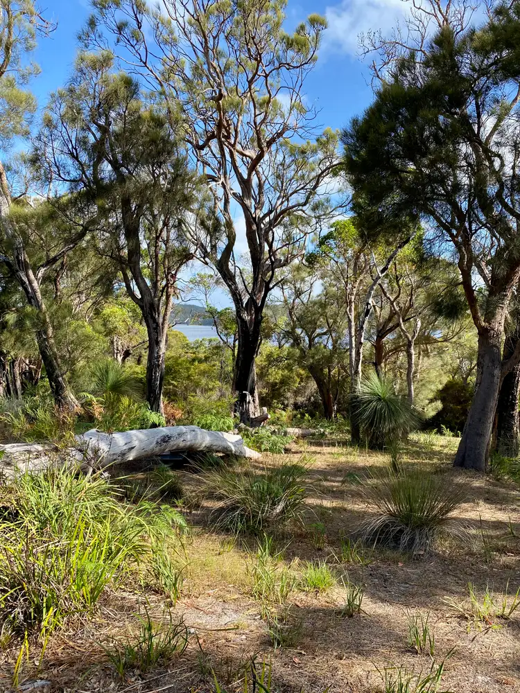 Seventh view of Homely land listing, 12 Howe Court, Walpole WA 6398
