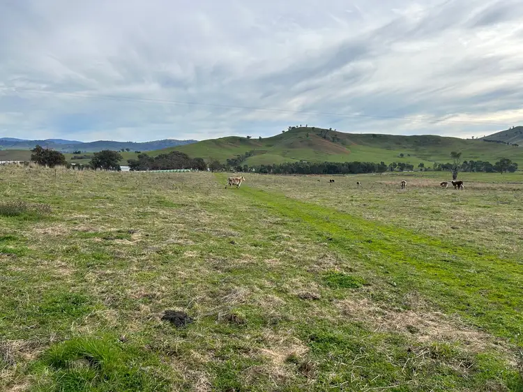 Third view of Homely rural property listing, Lots 1-2 TP668245 Lake Road,, Bethanga VIC 3691
