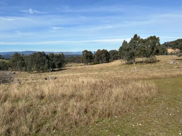 Second view of Homely rural property listing, 154 Winchester Lane, Table Top NSW 2640
