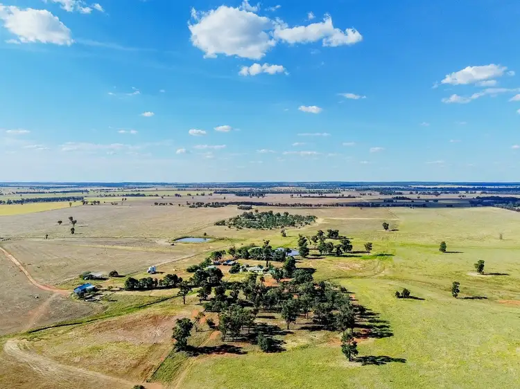 695 Quilties Corner Road, West Wyalong NSW 2671