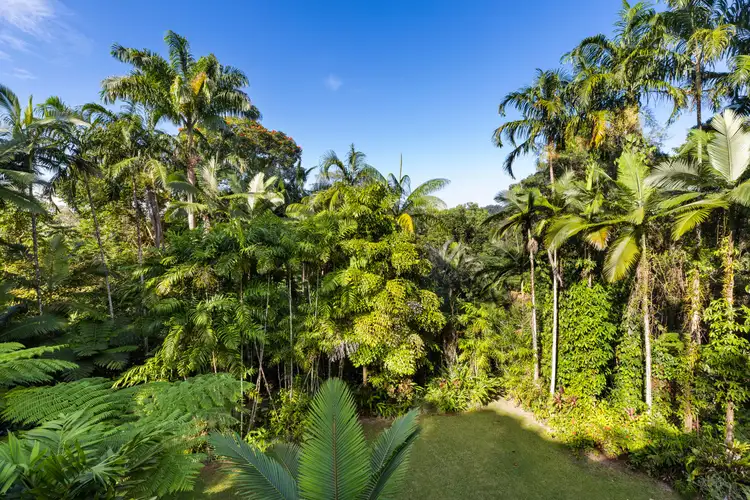 Third view of Homely house listing, 63 Whiteley Road, Miallo QLD 4873