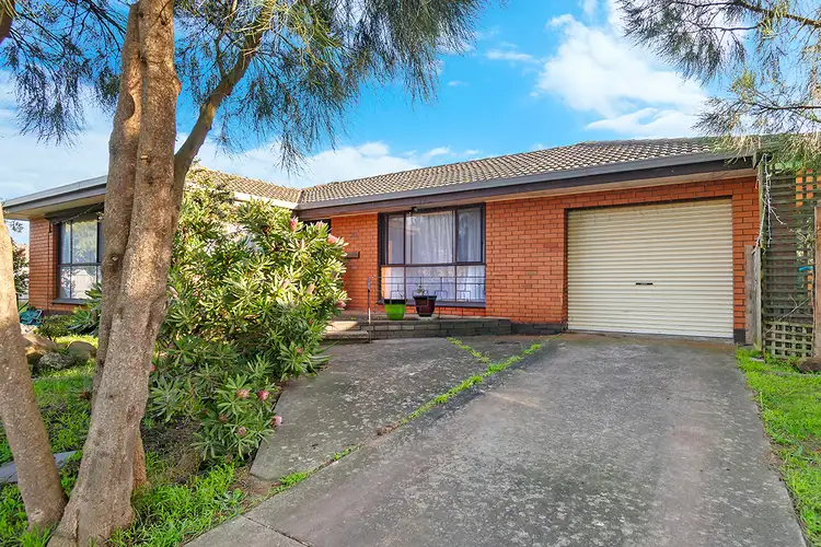20 Bancroft Street
