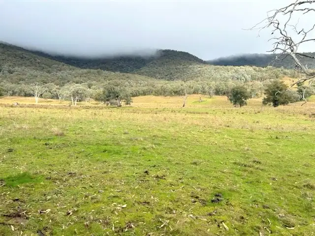 Seventh view of Homely rural property listing, LOT Lot 1, TP746335 Murray River Road, Talgarno VIC 3691