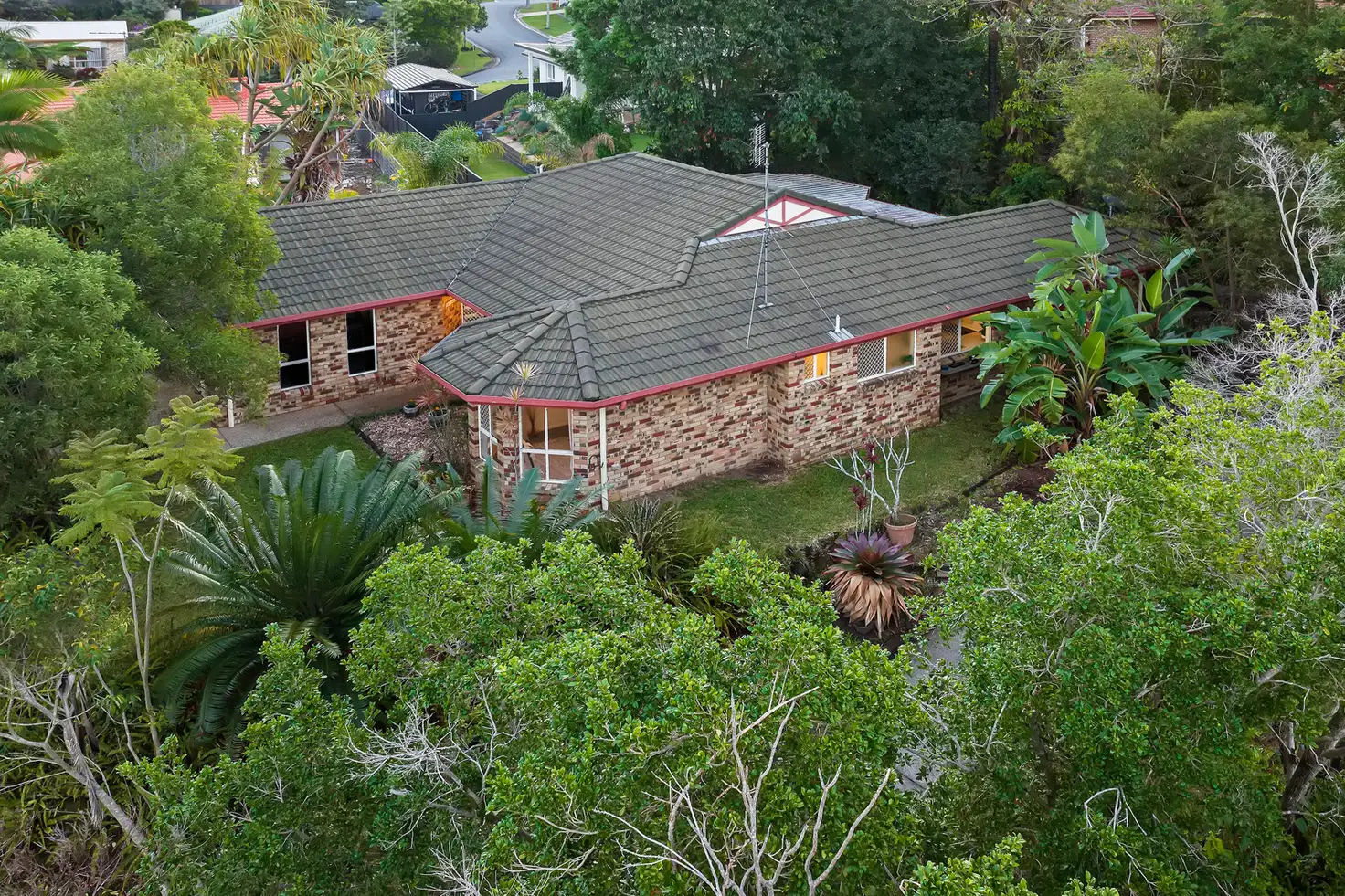 Main view of Homely house listing, 14 Hoop Pine Court, Buderim QLD 4556