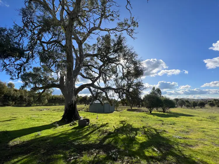 Fourth view of Homely rural property listing, 309B Moss Smith Road, Eden Valley SA 5235