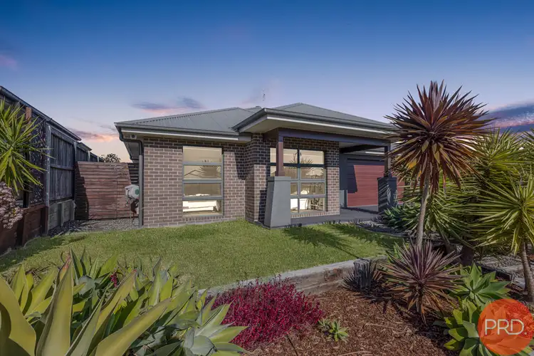 9 Coriander Street, Chisholm NSW 2322