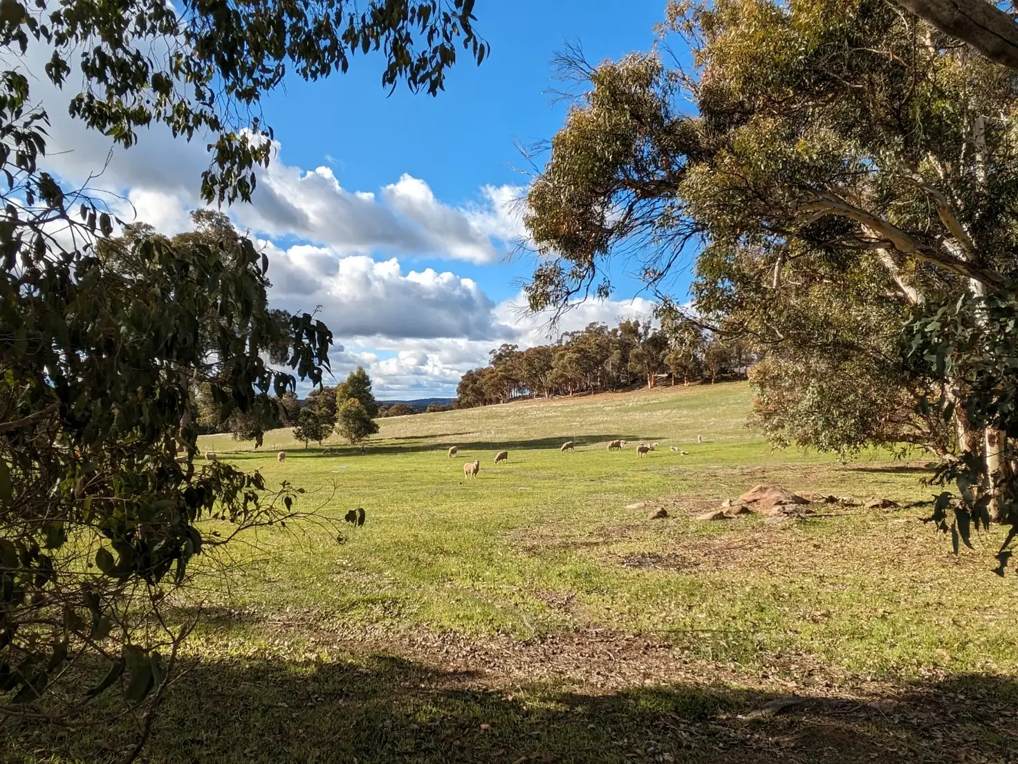 Main view of Homely land listing, 260 O'Connell Road, Wandering WA 6308