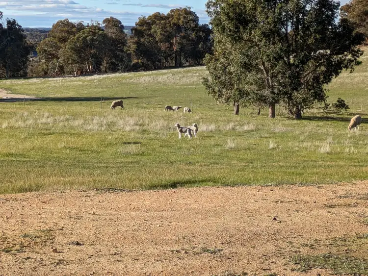 Sixth view of Homely land listing, 260 O'Connell Road, Wandering WA 6308