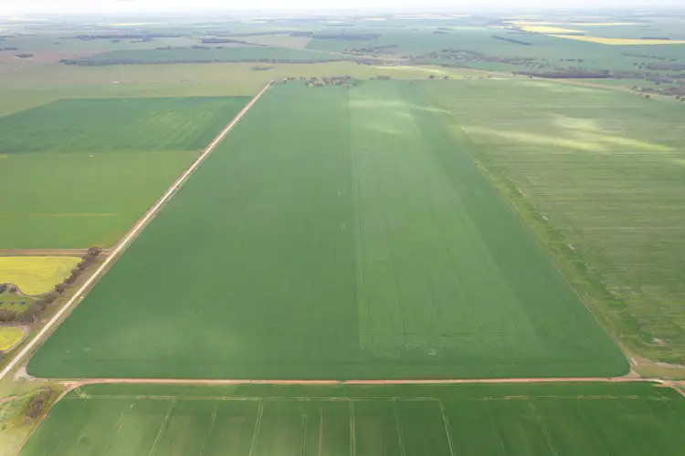 Third view of Homely rural property listing, C/A 12 & 13 Elmore-Mitiamo Road, Milloo VIC 3572