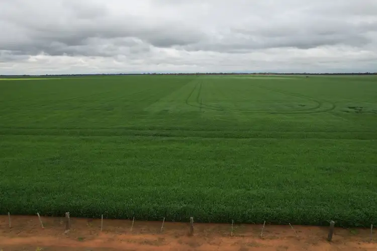 Fourth view of Homely rural property listing, C/A 12 & 13 Elmore-Mitiamo Road, Milloo VIC 3572