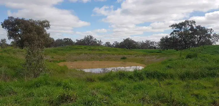Fifth view of Homely rural property listing, C/A 12 & 13 Elmore-Mitiamo Road, Milloo VIC 3572