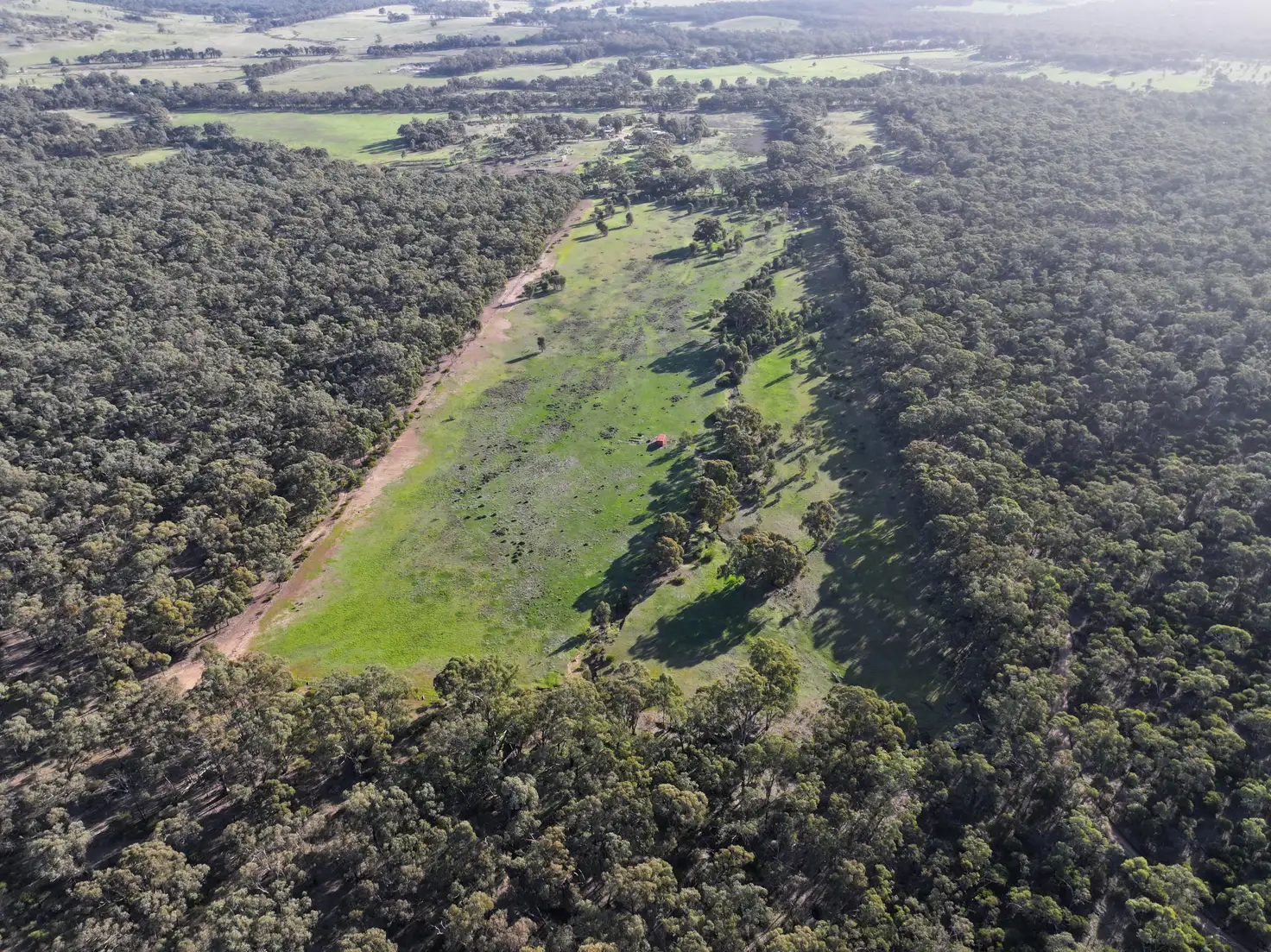 Main view of Homely rural property listing, Pipeclay Road, Rheola VIC 3517
