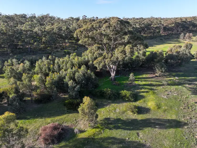 Third view of Homely rural property listing, Pipeclay Road, Rheola VIC 3517