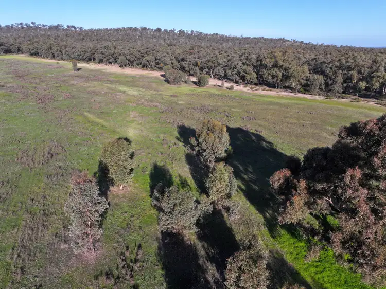 Seventh view of Homely rural property listing, Pipeclay Road, Rheola VIC 3517