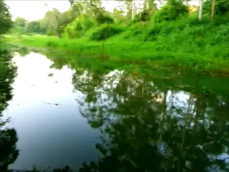 Fifth view of Homely rural property listing, 54 Gerara Court, Clagiraba QLD 4211