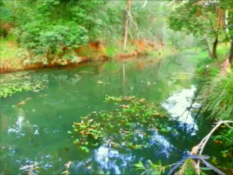 Sixth view of Homely rural property listing, 54 Gerara Court, Clagiraba QLD 4211