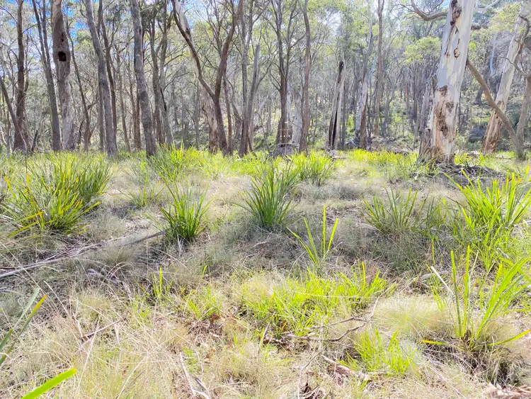 Second view of Homely rural property listing, 1031 Wombeyan Caves Road, Wombeyan Caves NSW 2580