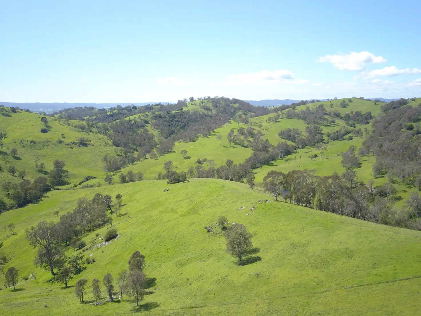 Main view of Homely rural property listing, Address available on request