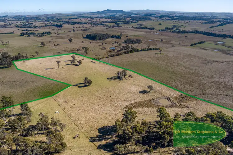 367 Neville Trunkey Road, Neville NSW 2799