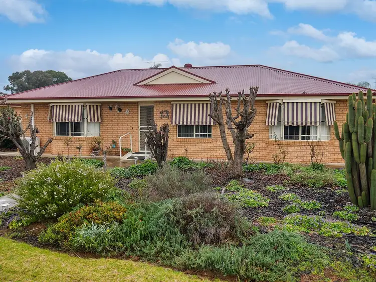 Main view of Homely house listing, 15 Cassia Road, Leeton NSW 2705