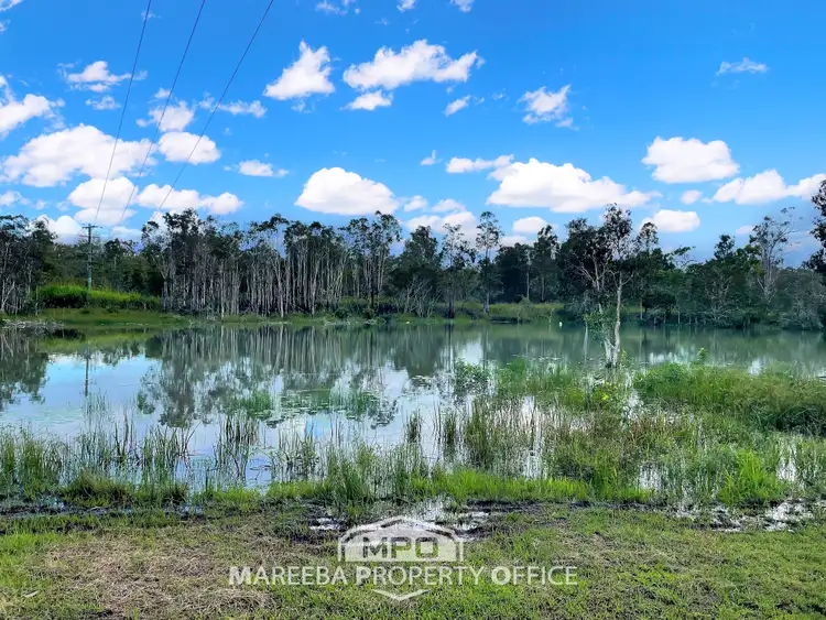 Sixth view of Homely rural property listing, 1044 Hodzic Road, Biboohra QLD 4880