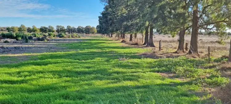 Third view of Homely rural property listing, 369 Tuck Road, Kerang VIC 3579