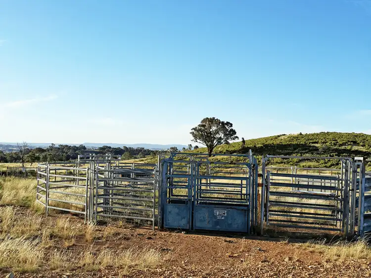 Fourth view of Homely rural property listing, 660 Kerrs Creek Road, Kerrs Creek NSW 2800