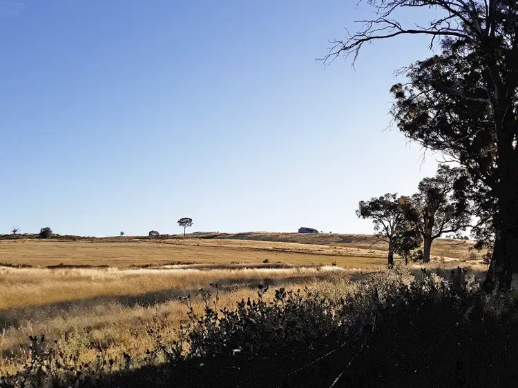 Fifth view of Homely rural property listing, 660 Kerrs Creek Road, Kerrs Creek NSW 2800