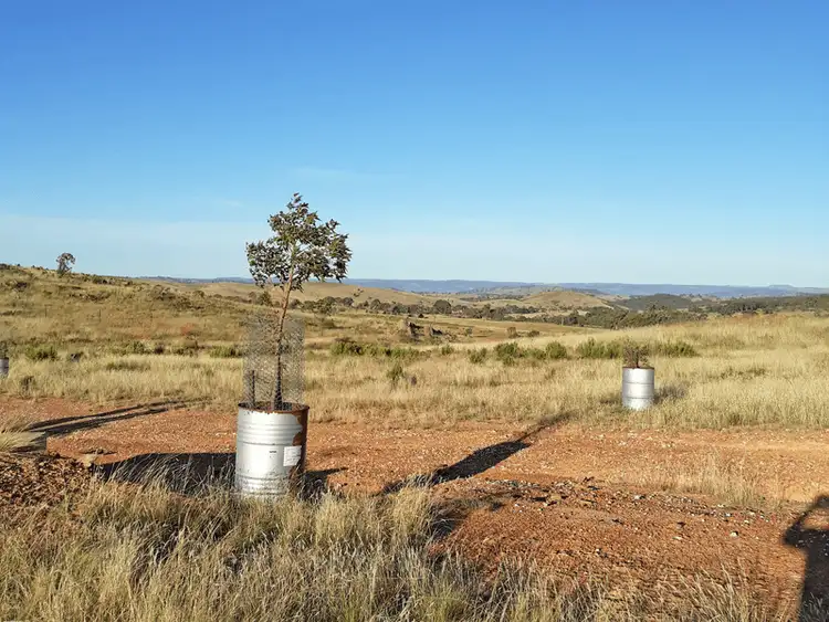 Sixth view of Homely rural property listing, 660 Kerrs Creek Road, Kerrs Creek NSW 2800