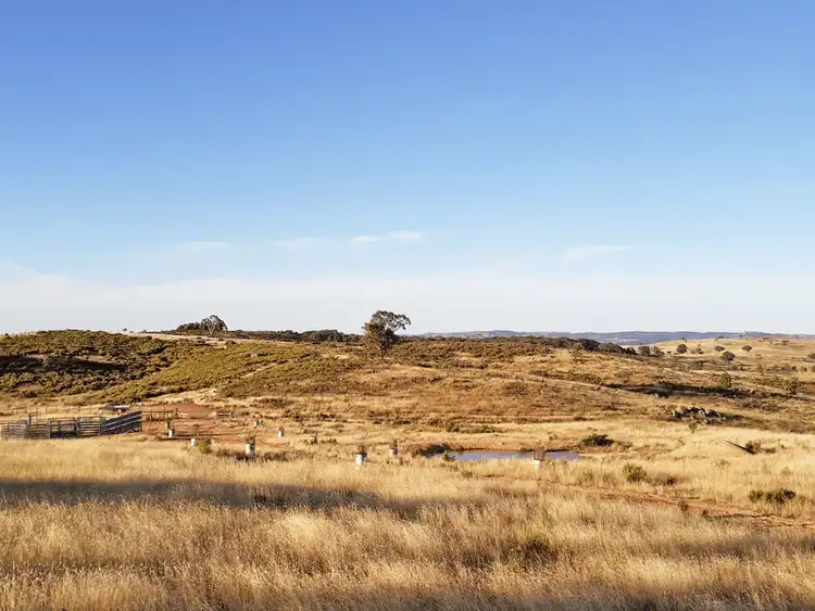 Seventh view of Homely rural property listing, 660 Kerrs Creek Road, Kerrs Creek NSW 2800
