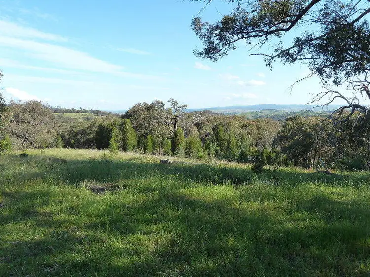 831 Bundalah Road, Orange NSW 2800