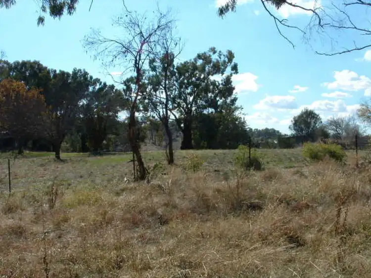 Fifth view of Homely land listing, 16 Church Street, Cudal NSW 2864