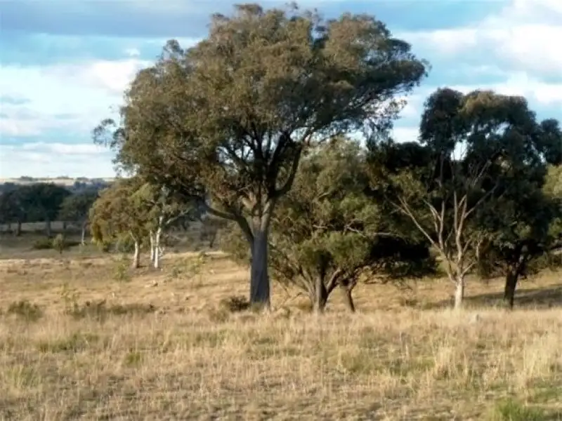 Main view of Homely land listing, LOT 3, 2903 Burrendong Way, Kerrs Creek NSW 2800