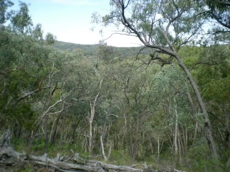 Main view of Homely land listing, LOT 13 Mount Aquila Road, Stuart Town NSW 2820